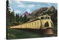 Stretched Canvas Print
