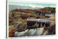 Stretched Canvas Print