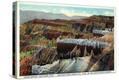 Stretched Canvas Print