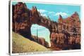 Stretched Canvas Print