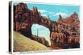 Stretched Canvas Print