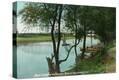 Stretched Canvas Print