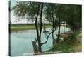 Stretched Canvas Print