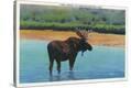 Stretched Canvas Print