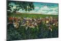 Premium Giclee Print