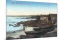 Premium Giclee Print
