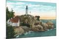 Premium Giclee Print