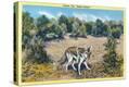 Stretched Canvas Print
