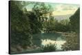 Stretched Canvas Print