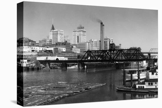 Stretched Canvas Print, , large
