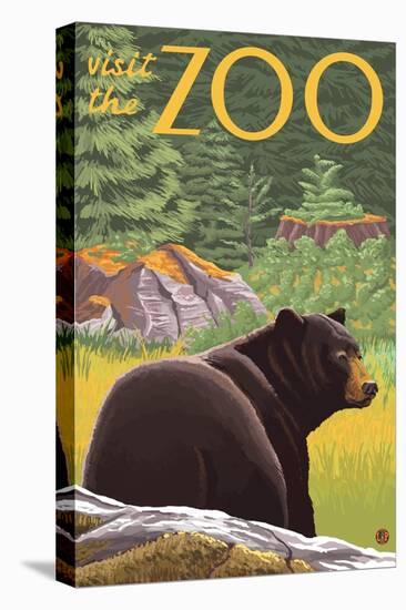 Stretched Canvas Print, , large