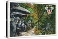 Stretched Canvas Print