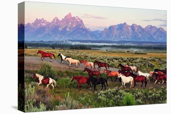 Stretched Canvas Print, , large