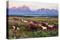 Stretched Canvas Print