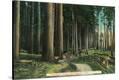 Stretched Canvas Print