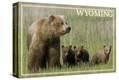 Stretched Canvas Print