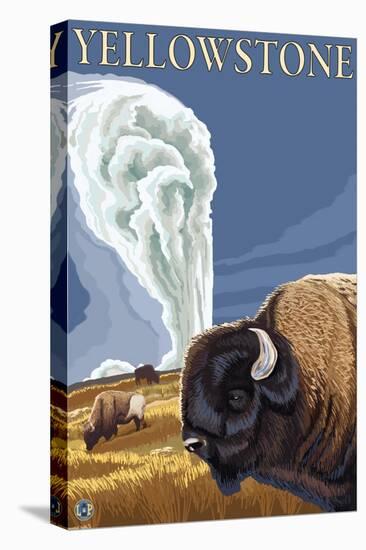 Stretched Canvas Print, , large