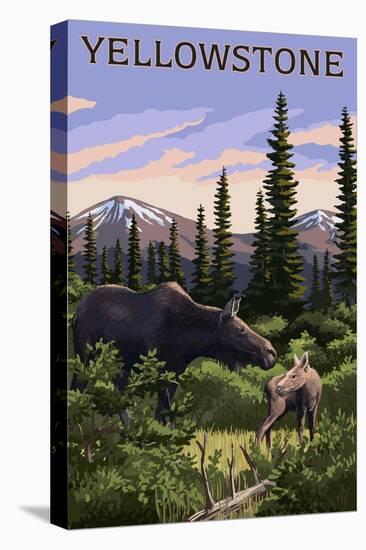 Stretched Canvas Print, , large