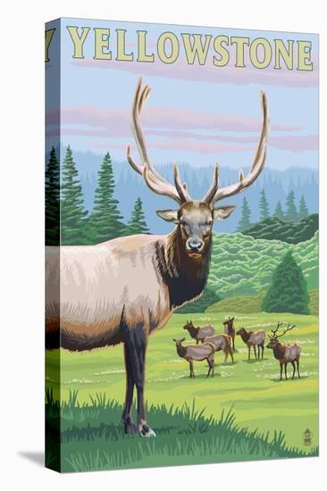 Stretched Canvas Print, , large