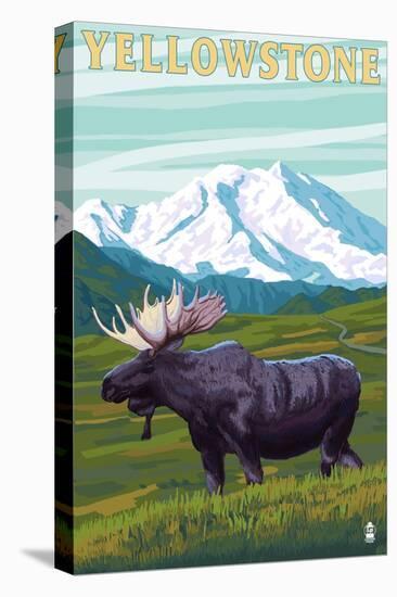 Stretched Canvas Print, , large