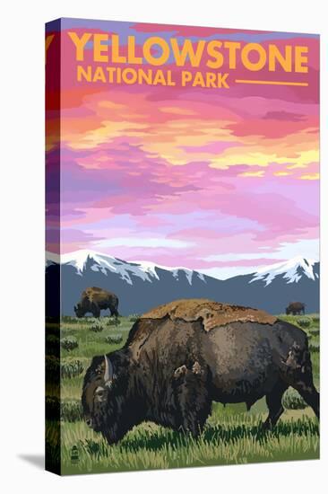 Stretched Canvas Print, , large