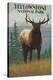 Stretched Canvas Print