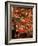 Lanterns and Stalls, Chinatown, Singapore, Southeast Asia-Charcrit Boonsom-Framed Photographic Print