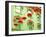 Lanterns In The Wind-Sonja Quintero-Framed Photographic Print