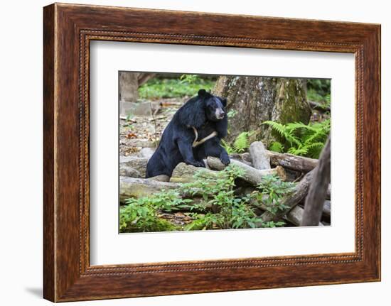 Laos, Kuang Si-Nigel Pavitt-Framed Photographic Print