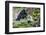 Laos, Kuang Si-Nigel Pavitt-Framed Photographic Print