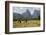 Laos, Vang Vieng. Cows and Mountains-Matt Freedman-Framed Photographic Print