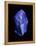 Lapis Lazuli, a Rare, Deep Blue Gemstone-Vaughan Fleming-Framed Premier Image Canvas