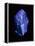 Lapis Lazuli, a Rare, Deep Blue Gemstone-Vaughan Fleming-Framed Premier Image Canvas