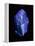 Lapis Lazuli, a Rare, Deep Blue Gemstone-Vaughan Fleming-Framed Premier Image Canvas