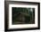 Lapland hut-Unknown-Framed Photographic Print