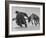 Lapp Struggling to Harness One of His Reindeer-Mark Kauffman-Framed Photographic Print