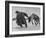 Lapp Struggling to Harness One of His Reindeer-Mark Kauffman-Framed Photographic Print