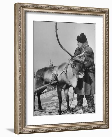 Lapp Tribesman Tending to His Reindeer-Mark Kauffman-Framed Photographic Print