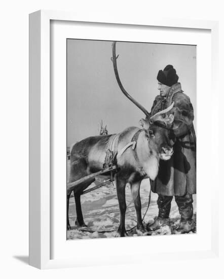 Lapp Tribesman Tending to His Reindeer-Mark Kauffman-Framed Photographic Print