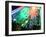 Laptop Circuit Board-Tek Image-Framed Photographic Print