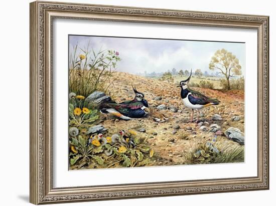 Lapwing Family with Goldfinches-Carl Donner-Framed Giclee Print