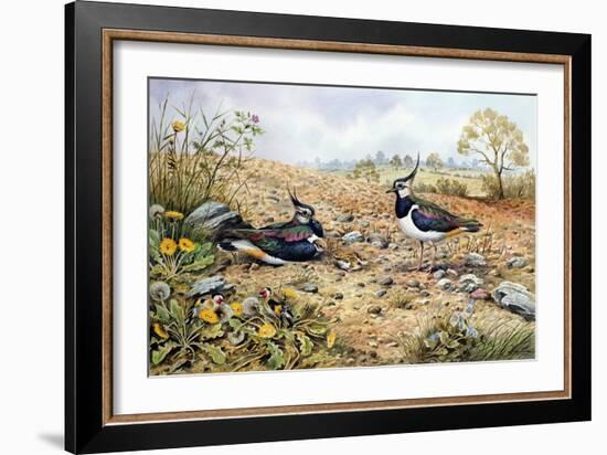 Lapwing Family with Goldfinches-Carl Donner-Framed Giclee Print