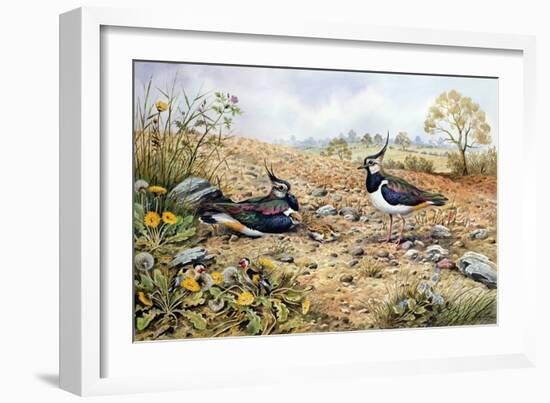 Lapwing Family with Goldfinches-Carl Donner-Framed Giclee Print