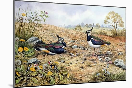 Lapwing Family with Goldfinches-Carl Donner-Mounted Giclee Print
