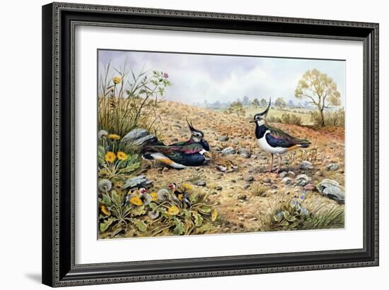 Lapwing Family with Goldfinches-Carl Donner-Framed Giclee Print