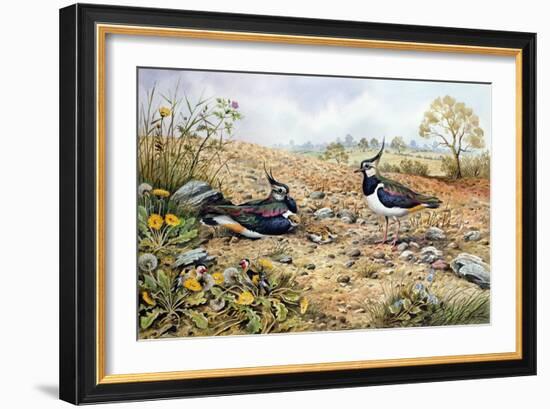 Lapwing Family with Goldfinches-Carl Donner-Framed Giclee Print