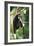 Lar Gibbon-Lantern Press-Framed Art Print