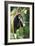 Lar Gibbon-Lantern Press-Framed Art Print