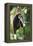 Lar Gibbon-Lantern Press-Framed Stretched Canvas