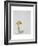 Larch Bolete, 2001-Rebecca John-Framed Giclee Print